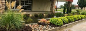 Rain Garden
