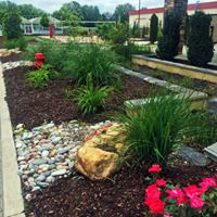 Oklahoma Landscape Architects Rain Garden 1